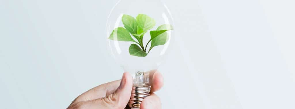 etiquetas-de-eficiencia-energetica-o-que-sao
