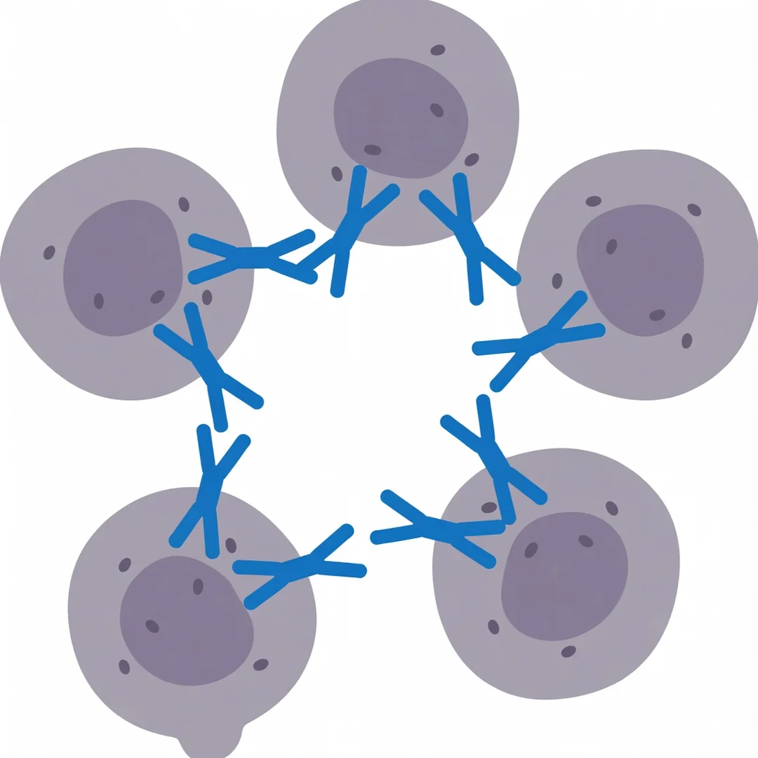 Anticorpos monoclonais rituximabe atacando células B CD20 em linfoma e doenças autoimunes